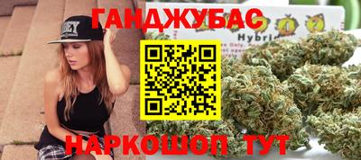 индика Лесосибирск