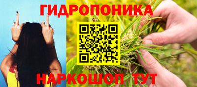 бошки Ликино-Дулёво