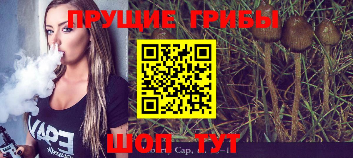 Галлюциногенные грибы Cubensis  Вход с VPN  Калининград 